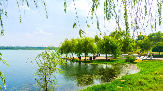 松雅湖畔