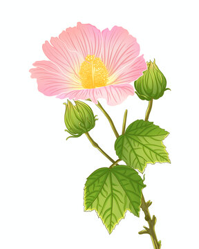 手绘花