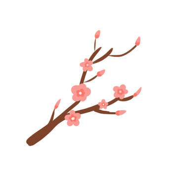 梅花手绘插画