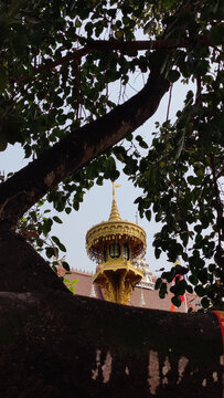 西双版纳总佛寺菩提树与屋顶