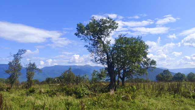 高山峻岭