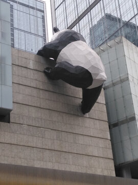 熊猫爬墙