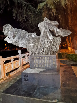 文山鹰化石
