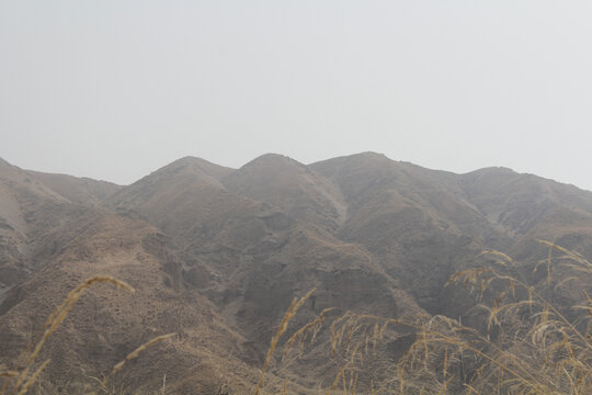 山