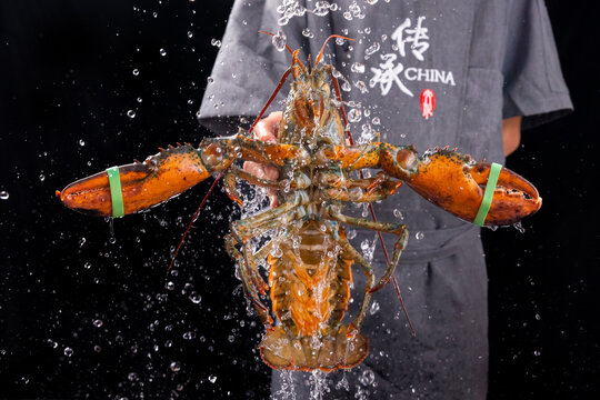 游水波龙
