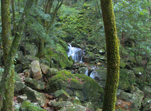 山涧
