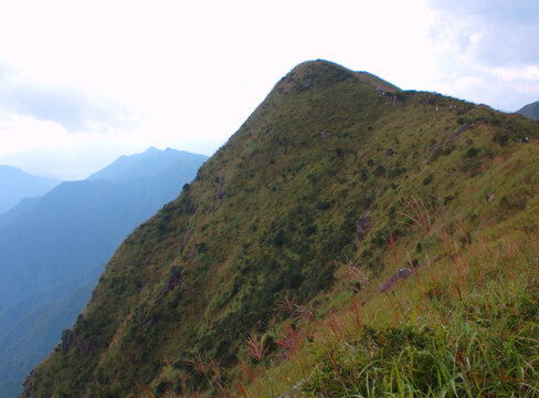 高山