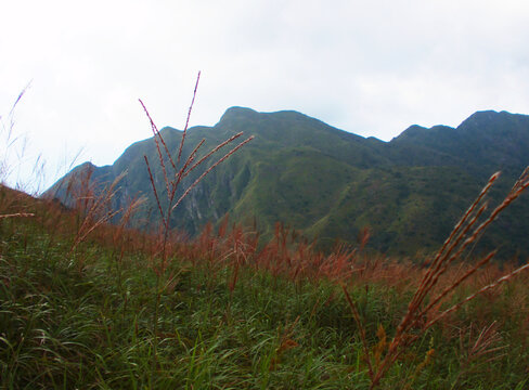高山