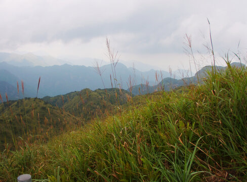 高山