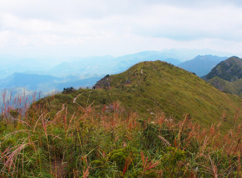 高山