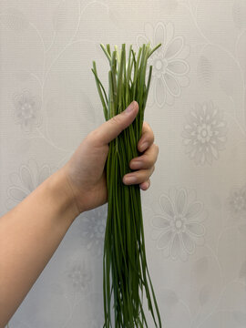 手持绿色韭菜