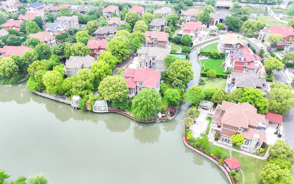 小区绿化