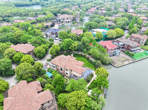 小区绿化