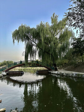 圆明园风景