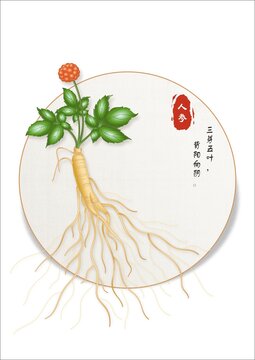 人参矢量图