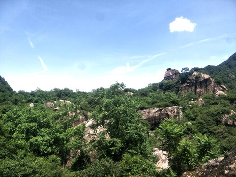翠华山