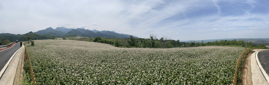 荞麦峪
