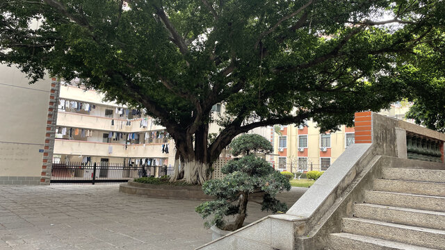 教学楼