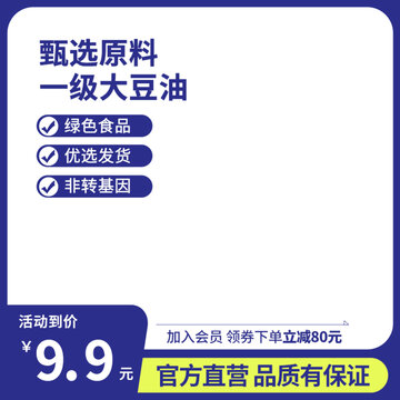 简约蓝色主图边框