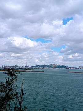 海面白云天空远山树木海天交界