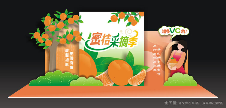 蜜桔采摘季