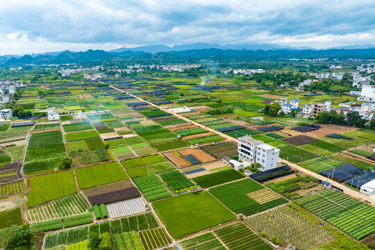 广西荔浦市连片花卉苗木种植基地