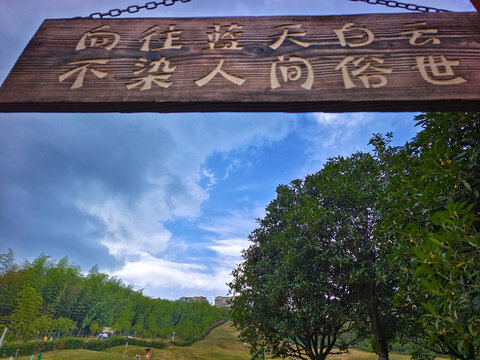 天鹅堡滑草场