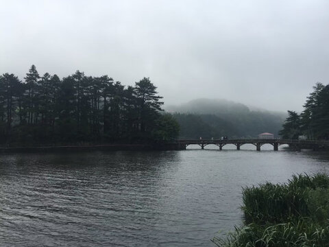 庐山水