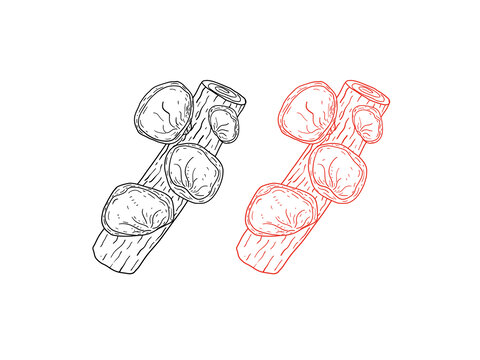 线描黑木耳