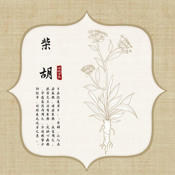 柴胡