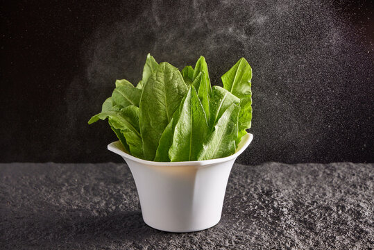 菠菜