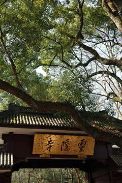 灵隐寺