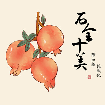 石榴插画