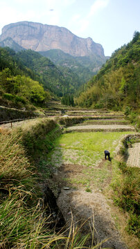 山区耕种