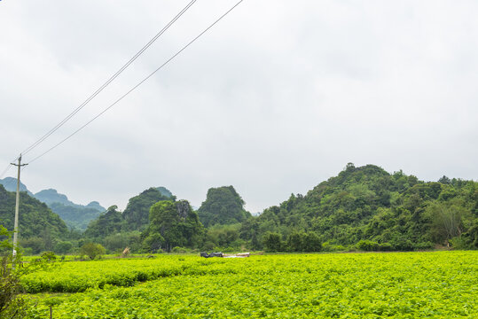 广西钟山百里水墨画廊