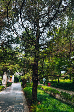 南京明孝陵石像路