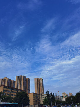高楼大厦
