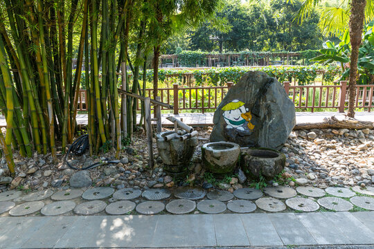 庭院