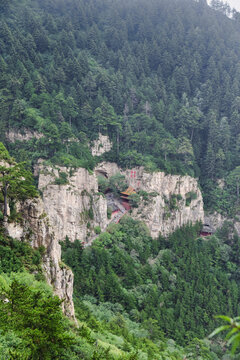 青山