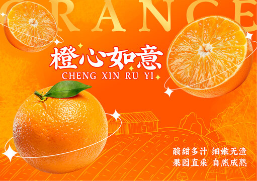橙子礼盒