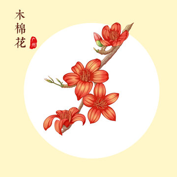 木棉花