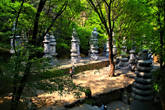 天津盘山塔林