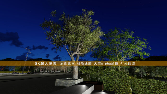 台阶上绿化树亮化