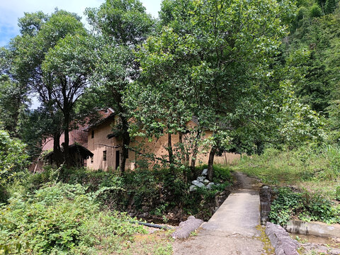 山林农家小桥
