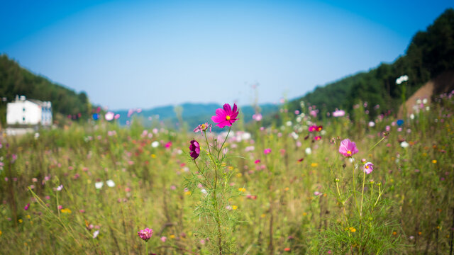 湖南省邵阳新宁崀山风景区