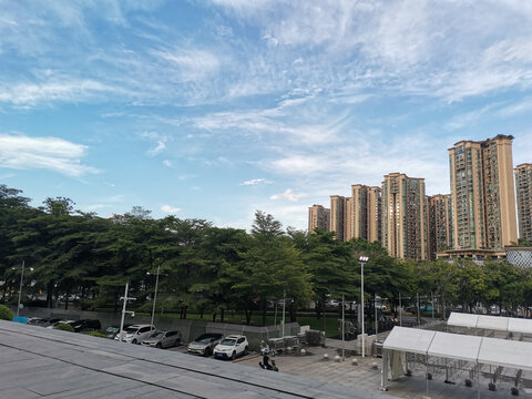 跑步所见