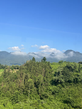 青山