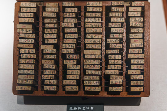 中草药名字印章