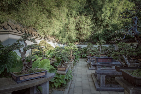 福州西湖开化寺盆景园