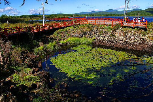 阿尔山杜鹃湖